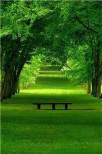 凤倾九重全文免费阅读无弹窗大结局_(涂瑜)最新章节列表（涂瑜）