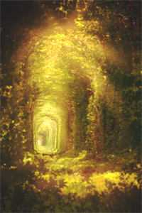 萧严的妖孽人生全文免费阅读无弹窗大结局_（萧严肖晴）萧严的妖孽人生免费最新章节列表（萧严肖晴）