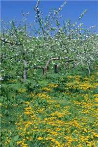 云未央霍寒川全文免费阅读（云未央霍寒川）全文免费阅读无弹窗大结局_（云未央霍寒川全文免费阅读）云未央霍寒川最新章节列表_（云未央霍寒川）