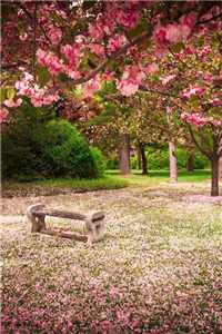 云未央霍寒川（云未央霍寒川）全文免费阅读无弹窗大结局_（云未央霍寒川）云未央霍寒川最新章节列表_（云未央霍寒川）