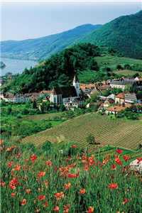 云未央霍寒川免费阅读（云未央霍寒川免费阅读）全文免费阅读无弹窗大结局_ (云未央霍寒川小说免费阅读)最新章节列表_（云未央霍寒川）