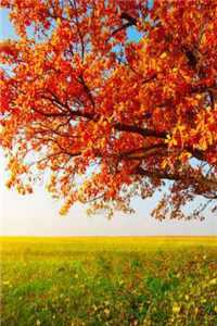 许音顾霆琛梁静雨 (许音顾霆琛梁静雨 )小说全文免费阅读无弹窗大结局_（许音顾霆琛梁静雨 全文免费阅读）许音顾霆琛梁静雨 最新章节列表（许音顾霆琛梁静雨 ）