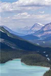 云河青山（沈归迟宋雁书陆渊）全文免费阅读无弹窗大结局_云河青山全文阅读_（沈归迟宋雁书陆渊）