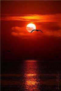 陆有枫林有星全文在线观看全文免费阅读无弹窗大结局（陆有枫林有星）_陆有枫林有星全文在线观看（陆有枫林有星）陆有枫林有星全文在线观看最新章节列表_（陆有枫林有星）