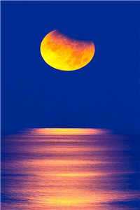 陆有枫林有星（陆有枫林有星无广告阅读）全文免费阅读无弹窗大结局_（陆有枫林有星）陆有枫林有星无广告阅读最新章节列表_（陆有枫林有星无广告阅读）