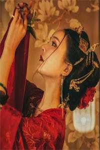 凤倾九重素婉（ 凤倾九重素婉）全文免费阅读无弹窗大结局_ （ 凤倾九重素婉） 凤倾九重素婉最新章节列表_（ 凤倾九重素婉）