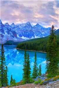 林恩恩秦子墨小说（林恩恩秦子墨）全文免费阅读无窗弹_（林恩恩秦子墨）林恩恩秦子墨最新章节列表（林恩恩秦子墨）