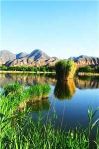 我向你奔来（陈冉陆丰张茜）全文免费阅读无弹窗大结局_ （我向你奔来）我向你奔来小说最新章节列表_（陈冉陆丰张茜）