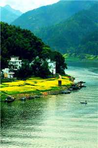 我向你奔来小说（我向你奔来）全文免费阅读_（我向你奔来）,陈冉陆丰张茜免费阅读无弹窗（我向你奔来）