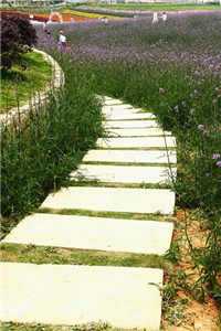 祁随林锦云白柒柒 全文免费阅读无弹窗大结局（离谱的任职）_（祁随林锦云白柒柒 ）离谱的任职最新章节列表_（祁随林锦云白柒柒 ）