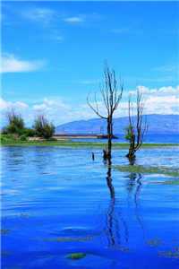 祁随林锦云白柒柒 结局（离谱的任职）_（离谱的任职）祁随林锦云白柒柒 最新章节列表_（离谱的任职）