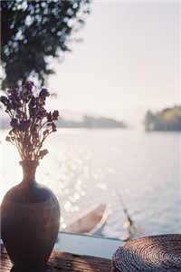 我向你奔来鹿城(陈冉鹿城)小说全文免费阅读无弹窗大结局_（我向你奔来鹿城全文免费阅读）我向你奔来鹿城最新章节列表（陈冉鹿城）