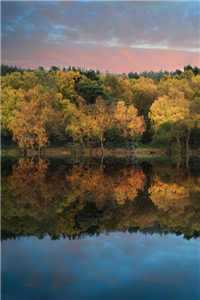 我向你奔来鹿城（陈冉鹿城）全文免费阅读无弹窗大结局_ （我向你奔来鹿城）我向你奔来鹿城最新章节列表_（陈冉鹿城）