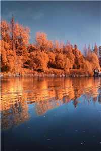 嫁纨绔柳玉茹顾九思全文免费阅读无弹窗大结局_ (嫁纨绔柳玉茹顾九思)嫁纨绔柳玉茹顾九思最新章节列表（嫁纨绔柳玉茹顾九思）