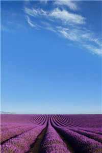 顾玖惜萧瑾瑢(顾玖惜萧瑾瑢)全文免费在线阅读_顾玖惜萧瑾瑢(顾玖惜萧瑾瑢)全文免费阅读无弹窗