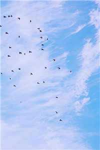 池鸢霍寒辞（池鸢霍寒辞）全文免费阅读无弹窗大结局_（池鸢霍寒辞免费阅读无弹窗）池鸢霍寒辞免费阅读最新章节列表_（池鸢霍寒辞免费阅读无弹窗）