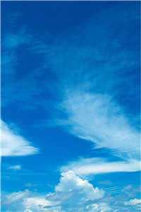 白洛瑶薛北姜涛(白洛瑶薛北姜涛)全文免费阅读无弹窗大结局_(白洛瑶薛北姜涛免费阅读全文大结局)最新章节列表_（白洛瑶薛北姜涛）