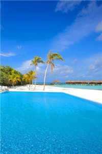 司年林水婳(司年林水婳)全文免费阅读无弹窗大结局_(司年林水婳小说免费阅读)司年林水婳免费阅读无弹窗最新章节列表_（司年林水婳）