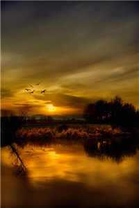 九州天王（叶凌天陈潇染）全文免费阅读无弹窗大结局_(绝世天骄免费阅读)绝世天骄最新章节列表_（叶凌天陈潇染）