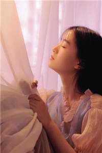 叶倾怀陆宴尘小说（叶倾怀陆宴尘）全文免费阅读无弹窗大结局_叶倾怀陆宴尘（叶倾怀陆宴尘小说）最新章节列表_（叶倾怀陆宴尘）