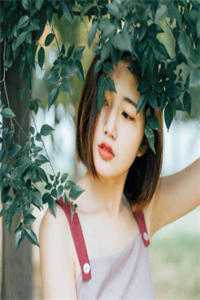 夏芸霍沐宇是什么小说（夏芸霍沐宇是什么小说）全文免费阅读_ (夏芸霍沐宇是什么小说)夏芸霍沐宇是什么小说免费阅读无弹窗_（夏芸霍沐宇是什么小说）