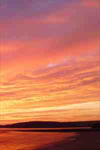 叶倾怀陆宴尘锦衣卫（叶倾怀陆宴尘锦衣卫 ）全文免费阅读无弹窗大结局_ （ 叶倾怀陆宴尘锦衣卫） 叶倾怀陆宴尘锦衣卫最新章节列表_（叶倾怀陆宴尘锦衣卫 ）