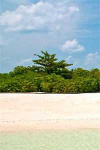 愿卿常安宁（萧景承祝永宁）全文免费阅读无弹窗大结局_(萧景承祝永宁)愿卿常安宁免费阅读无弹窗最新章节列表_（萧景承祝永宁）