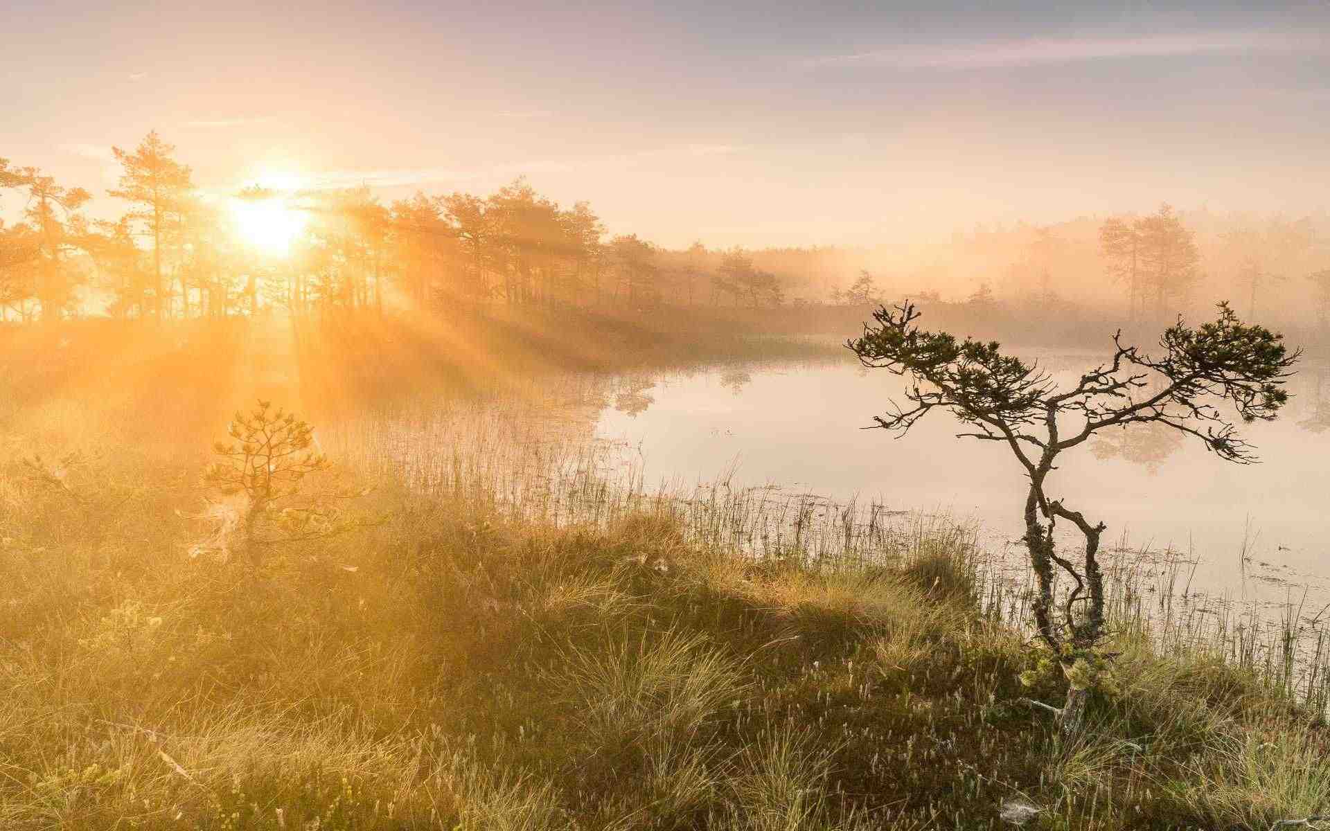 栗宝苏深意（栗宝苏深意）全文免费阅读无弹窗大结局_栗宝苏深意最新章节列表_（栗宝苏深意）