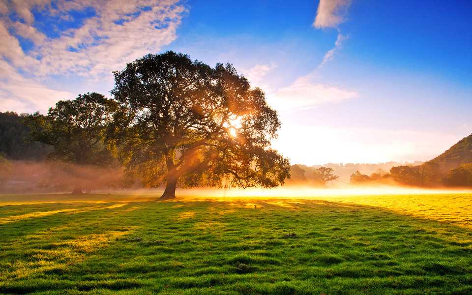 叶凌月凤莘夏莹（叶凌月凤莘夏莹）全文免费阅读无弹窗大结局_ （叶凌月凤莘夏莹）叶凌月凤莘夏莹最新章节列表_（叶凌月凤莘夏莹）