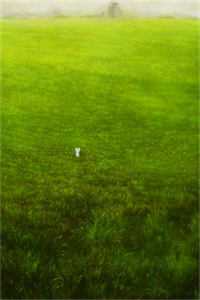 司年林水婳(莫言莫失)全文免费阅读无弹窗大结局_ (司年林水婳莫言莫失小说免费阅读)最新章节列表_（莫言莫失）