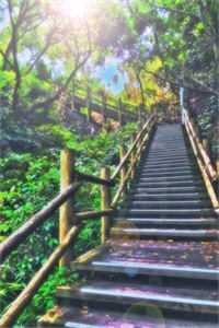 苏冉冉墨锦昀(苏冉冉墨锦昀)全文免费阅读无弹窗大结局_苏冉冉墨锦昀全文阅读_（苏冉冉墨锦昀）