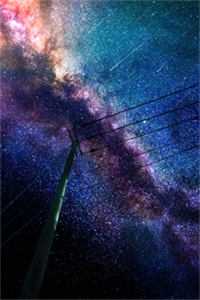 叶西城虞鸢（叶西城虞鸢）全文免费阅读无弹窗大结局_ (叶西城虞鸢小说免费阅读)最新章节列表_（叶西城虞鸢）