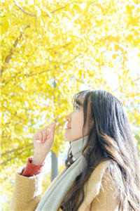 陈伯彦江警官(陈伯彦江警官)全文免费阅读大结局_陈伯彦江警官小说最新章节列表_（陈伯彦江警官）