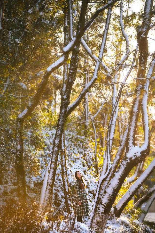 分手后上司天天求复合（宋窈严司琛）全文免费阅读无弹窗大结局_(宋窈严司琛)分手后上司天天求复合免费阅读无弹窗最新章节列表_（宋窈严司琛）