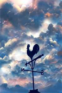 茶王少女知乎（姜鹂陆彦刘佳）全文免费阅读无弹窗大结局_茶王少女最新章节列表_（姜鹂陆彦刘佳）