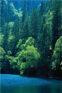 后宫灯火小说(祁崟流离)全文免费阅读无弹窗大结局_(祁崟流离小说全文免费阅读)后宫灯火最新章节列表（祁崟流离