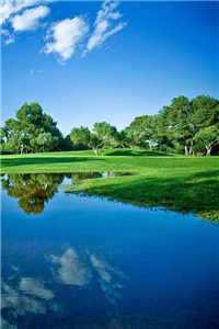 后宫灯火（祁崟流离）小说全文免费阅读无弹窗大结局_祁崟流离小说（后宫灯火）最新章节列表_（祁崟流离）