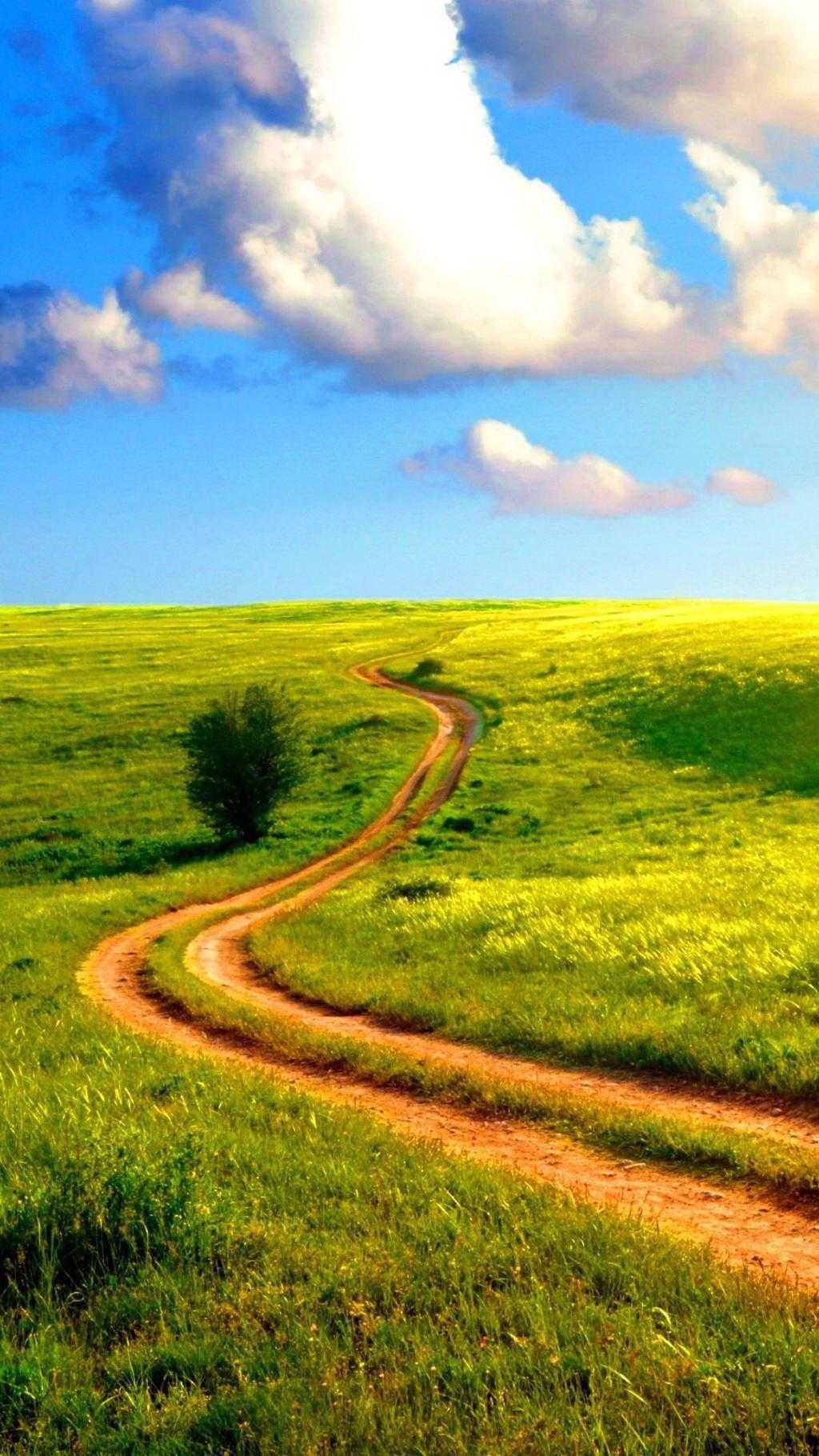 冯欢崔兰(假千金跑路 )全文免费阅读无弹窗大结局_假千金跑路 全文阅读_（冯欢崔兰）