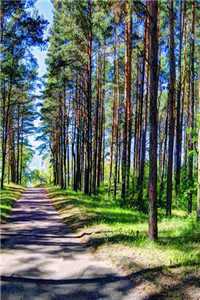 路心桐席鹤年小说名字（路心桐席鹤年）全文免费阅读无弹窗大结局_路心桐席鹤年小说名字全文阅读_（路心桐席鹤年）