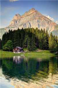 路心彤席鹤年全文免费阅读无弹窗大结局_（路心彤席鹤年）路心彤席鹤年最新章节列表（路心彤席鹤年）