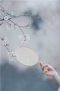 叶婉莹龙梅（叶婉莹龙梅）全文免费阅读无弹窗大结局_（叶婉莹龙梅）叶婉莹龙梅最新章节列表_（叶婉莹龙梅）