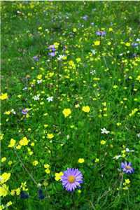 等等故人心（陆文斐夕儿）全文免费阅读无弹窗大结局_(等等故人心免费阅读)最新章节列表_（陆文斐夕儿）