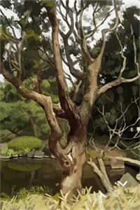 柔情可辞长夜寒（舒柔凌辞寒）全文免费阅读无弹窗大结局_（舒柔凌辞寒）柔情可辞长夜寒全文最新章节列表_（舒柔凌辞寒）