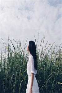 冷淡日记全文免费阅读_（冷淡日记）最新章节列表（楚羡林愫）