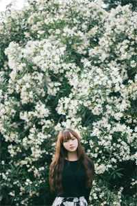 冷淡日记（楚羡林愫）全文免费阅读无弹窗_（楚羡林愫）冷淡日记最新章节列表_（楚羡林愫）