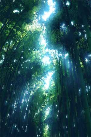 冷淡日记（楚羡林愫）全文免费阅读无弹窗大结局_冷淡日记最新章节列表_（楚羡林愫）