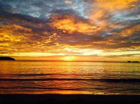 悲剧的种子（白洁白雪）全文免费阅读_悲剧的种子全文阅读_（悲剧的种子）白洁白雪