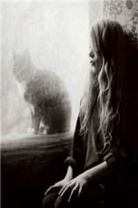 伪装心心(唐飞李心)全文免费阅读无弹窗大结局_ (伪装心心小说免费阅读)最新章节列表_（唐飞李心）