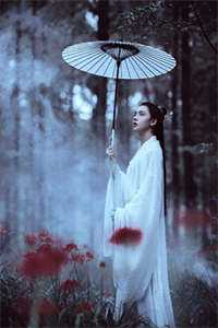 顾鸢叶峥庭全文免费阅读无弹窗大结局_(顾鸢叶峥庭)顾鸢叶峥庭最新章节列表（顾鸢叶峥庭）