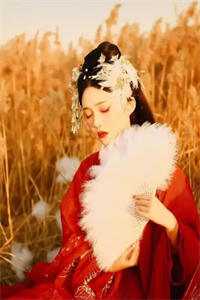 (温柔邵南宸)全文免费阅读无弹窗大结局_(温柔邵南宸免费阅读全文大结局)最新章节列表_（温柔邵南宸）